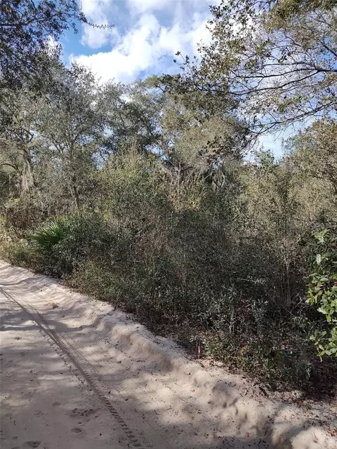 236 Th Pl, Fort Mc Coy, FL 32134