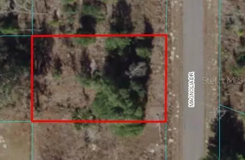14 Magnolia Drive, Ocklawaha, FL 32179