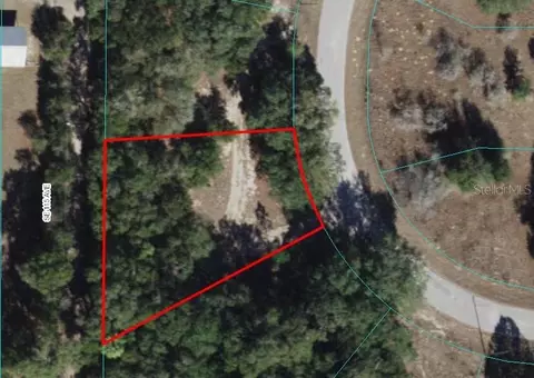 Tbd Locust Radial Circle, Ocala, FL 34472