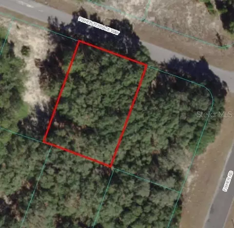 Fisher Terr Way, Ocklawaha, FL 32179
