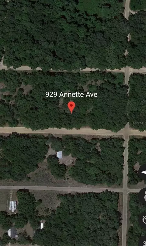 929 Annette Ave, Interlachen, FL 32148