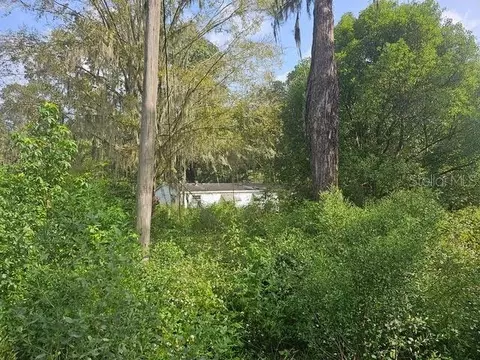 4377 SE 130th St, Belleview, FL 34420
