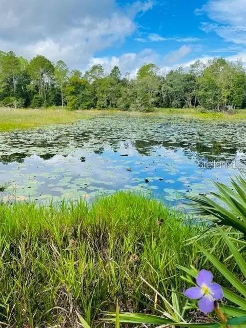 Spring St E Hwy 318, Citra, FL 32113
