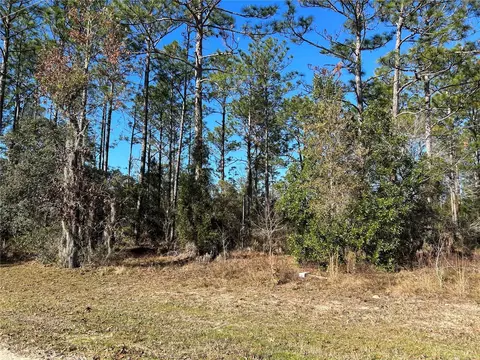 1930 NE 121 Ct, Williston, FL 32696