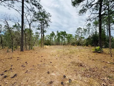 Lot 3 SW 93rd Street, Dunnellon, FL 34432
