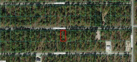 00 Magnolia Dr, Ocklawaha, FL 32179