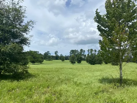 Nw 160th Ave., Williston, FL 32696