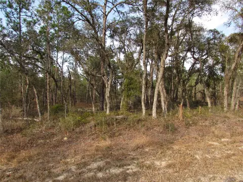 Lot 10 SE 130th Avenue, Dunnellon, FL 34431
