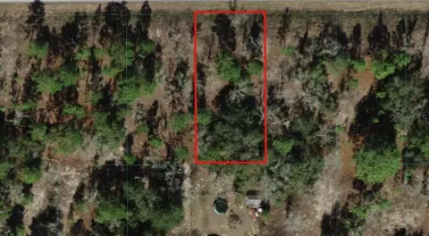 Tbd SW Marine Boulevard, Dunnellon, FL 34431
