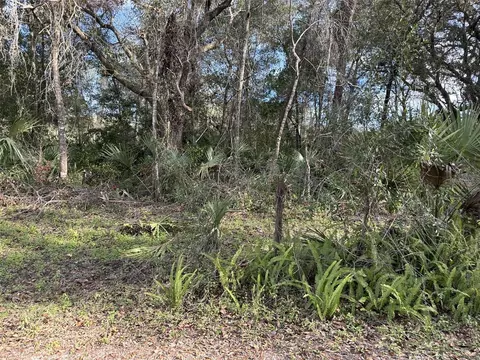 1047 SE 172nd Ave, Silver Springs, FL 34488