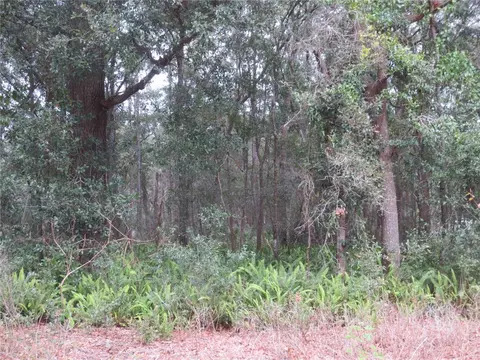 0 NE 107 Ave, Fort Mc Coy, FL 32134