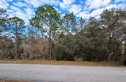 SW 211th Circle, Dunnellon, FL 34431