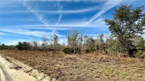 Ne 14th St., Williston, FL 32696