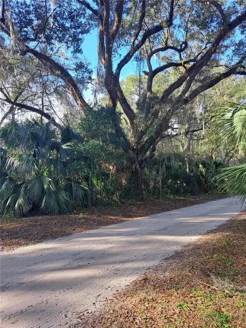 NE 142 Place, Anthony, FL 32617