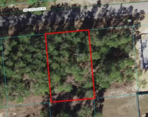 SW 172nd Street Rd, Ocala, FL 34473