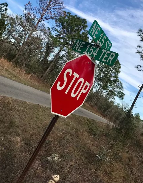 Tbd NE 15th Street, Williston, FL 32696
