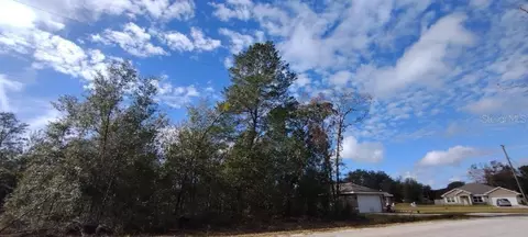 0 Malauka Radial Pl, Ocklawaha, FL 32179
