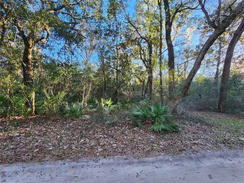 0 NE 37th St, Silver Springs, FL 34488