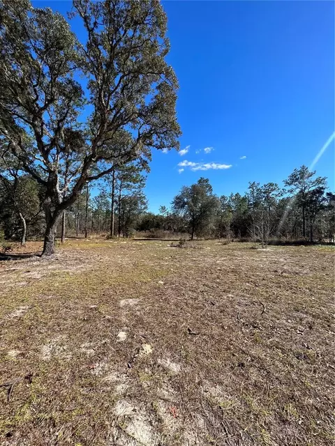 Tbd SW 137th Court, Dunnellon, FL 34432