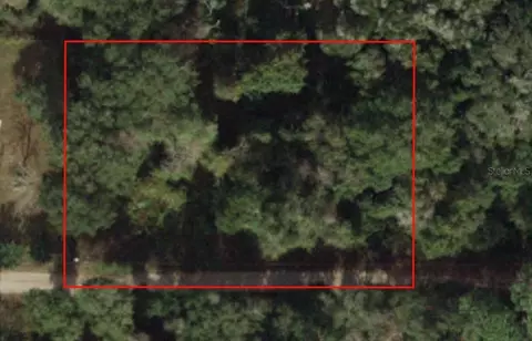 Tbd SE 156th St, Umatilla, FL 32784