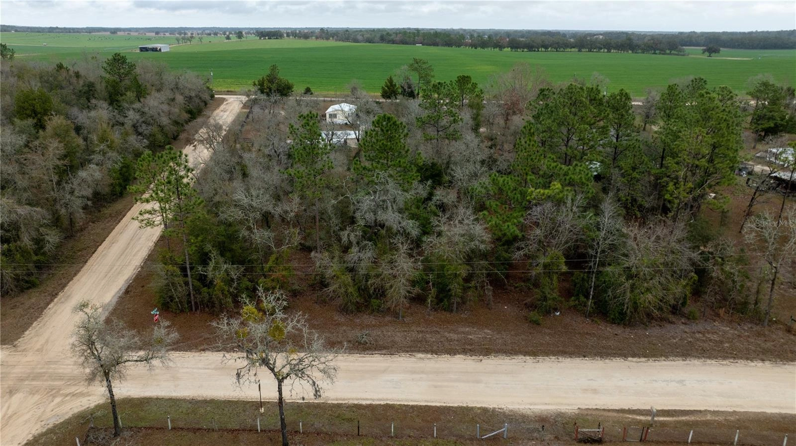 00 NE 134th Ct, Williston, FL 32696 photo 1