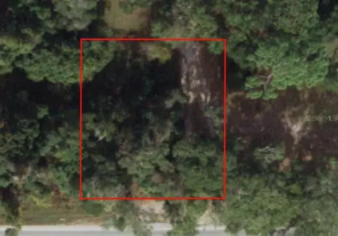 Tbd SE Highway 42, Umatilla, FL 32784