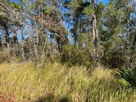 0 SE 63rd Pl #LOT 2, Morriston, FL 32668