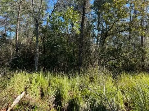 0 SE 63rd Pl #LOT 3, Morriston, FL 32668