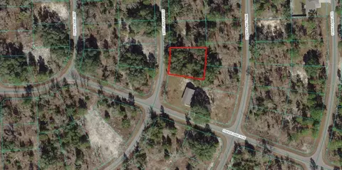 11 Fisher Lane Track, Ocklawaha, FL 32179