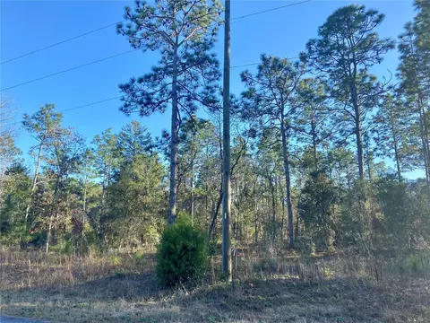 Lot 10.11 SW Pony Ridge Drive, Dunnellon, FL 34431
