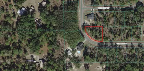 8 Guava Pass, Ocklawaha, FL 32179