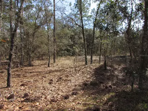 35 Northwest Ridgewood Road, Dunnellon, FL 34431