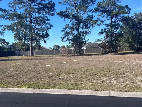 5666 NE 62nd Court Rd, Silver Springs, FL 34488
