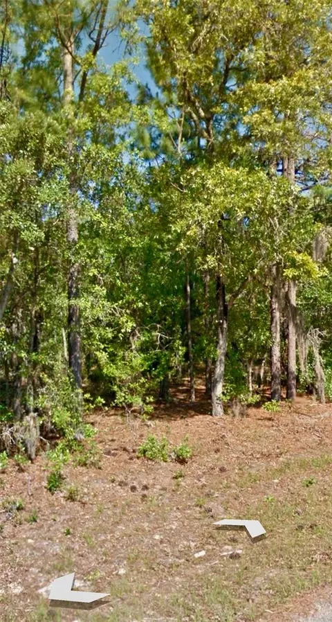 9042 N Commodore Dr, Citrus Springs, FL 34434