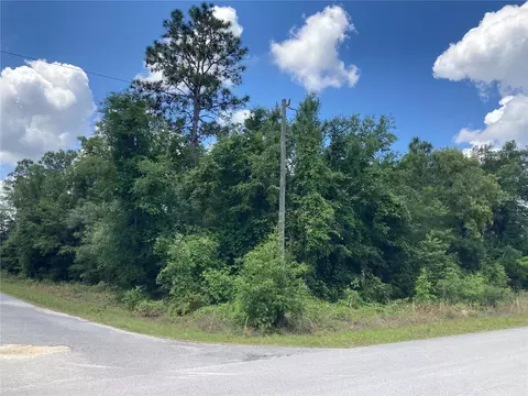 Tbd SW Tarpon Boulevard, Dunnellon, FL 34431