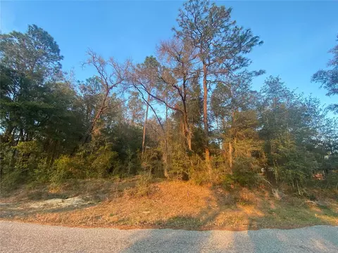 lot28 SW 206 Cir, Dunnellon, FL 34431