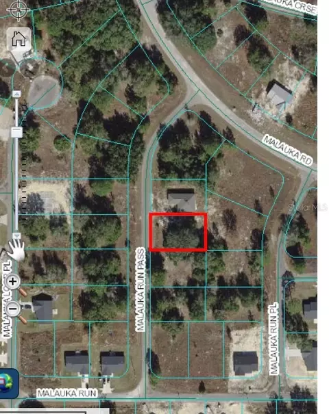 Tbd Malauka Run Pass, Ocklawaha, FL 32179