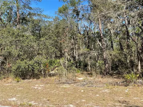 tbd SW 179th Pl, Ocala, FL 34473
