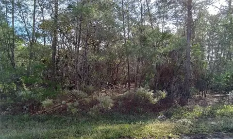 Fisher Trail Terrace, Ocklawaha, FL 32179