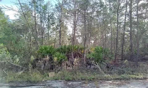 Fisher Trail Terrace, Ocklawaha, FL 32179