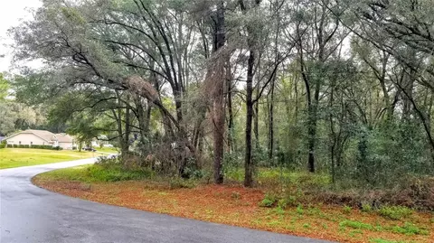 0000 SW 190 Cir, Dunnellon, FL 34432