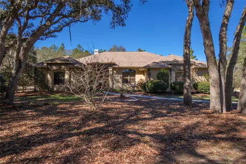 2233 W Begonia Dr, Beverly Hills, FL 34465