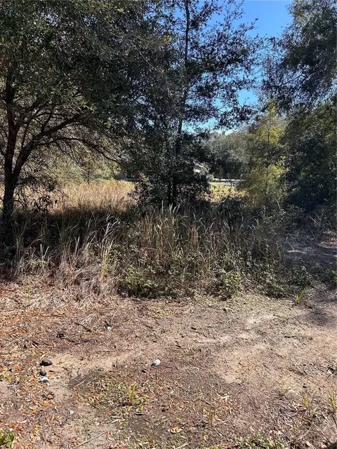 Tbd Pine Pass Lane, Ocala, FL 34472