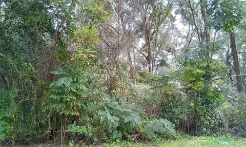 SE 30th Ct, Belleview, FL 34420