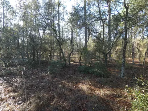 Lot 13 SW Neptune Boulevard, Dunnellon, FL 34432