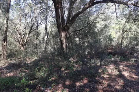 12330 N Ruff Pt, Dunnellon, FL 34433