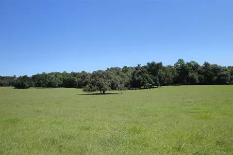 4401 Griffin View Dr, Lady Lake, FL 32159