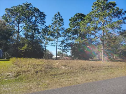 Tbd Juniper Trak, Ocala, FL 34480