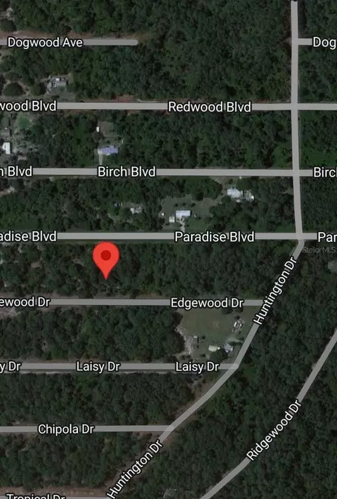 116 W Edgewood Dr, Georgetown, FL 32139