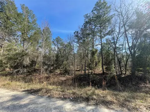 tbd sw 125th court road LOT 12, Dunnellon, FL 34432